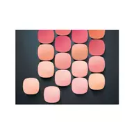 Blush Accord Parfait