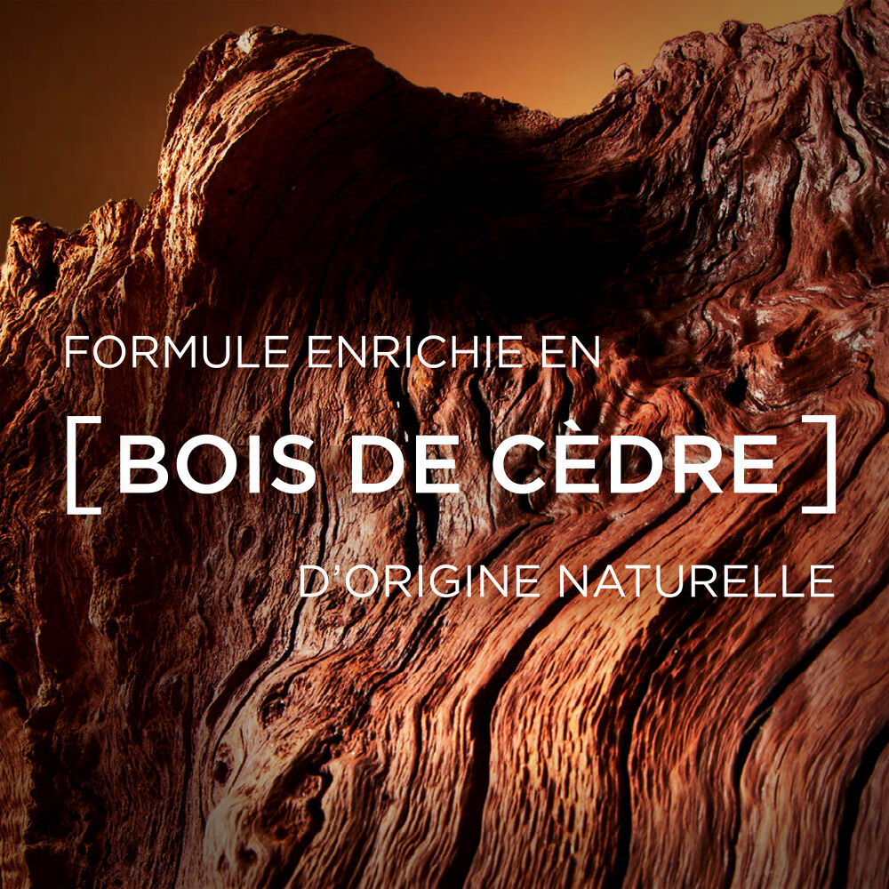 Men Expert BarberClub Deodorant Bille Protection 48h