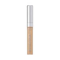 Correcteur Accord Parfait