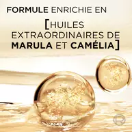 Visuel textuel et abstrait de la formule Elseve Huile Extraordinaire L'Oreal Paris, mettant en avant les huiles extraordinaires de marula et camelia contenues dans des spheres nacrees sur fond dore.​