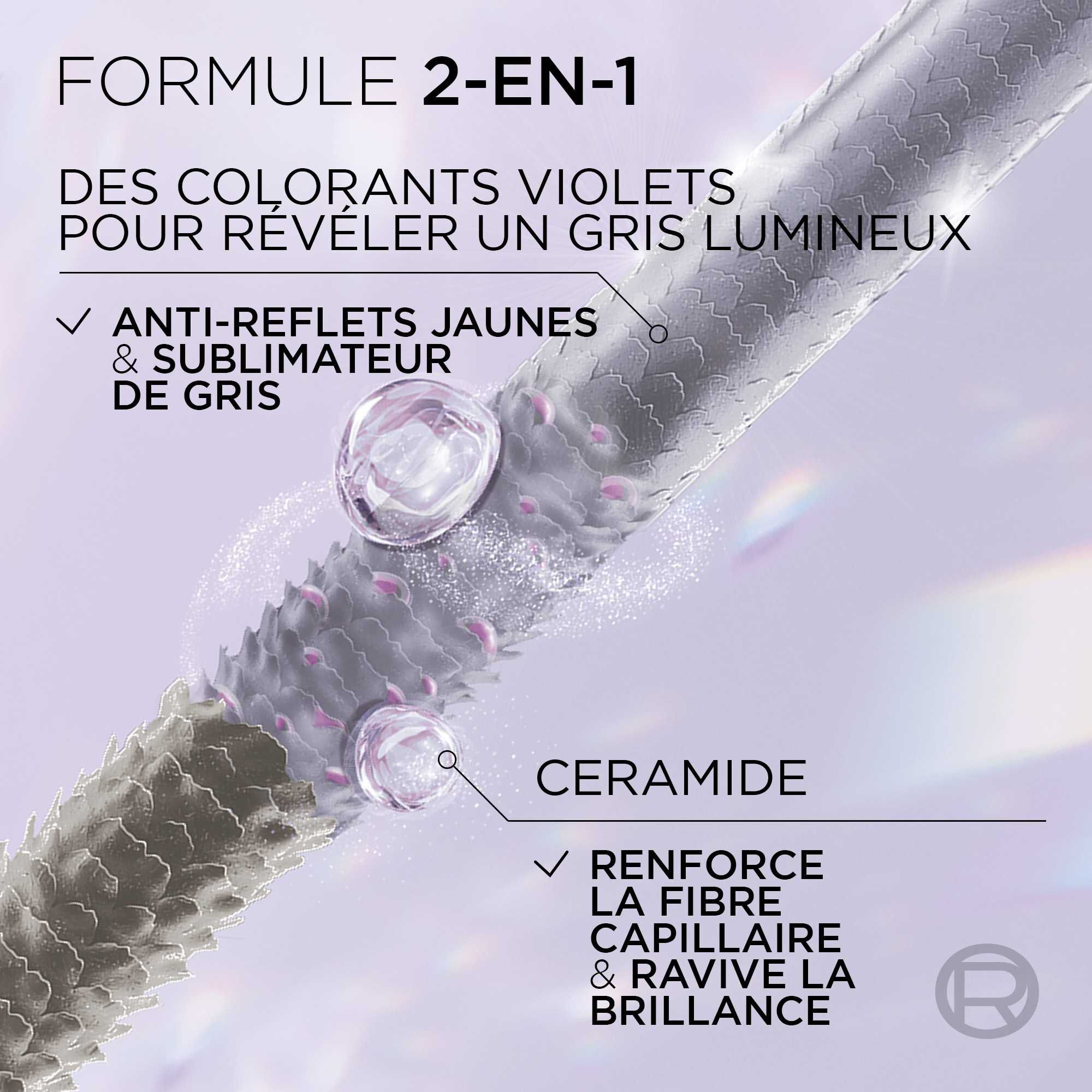 Cool Silver   Soin Sublimateur de Gris - dejaunit et renforce la fibre