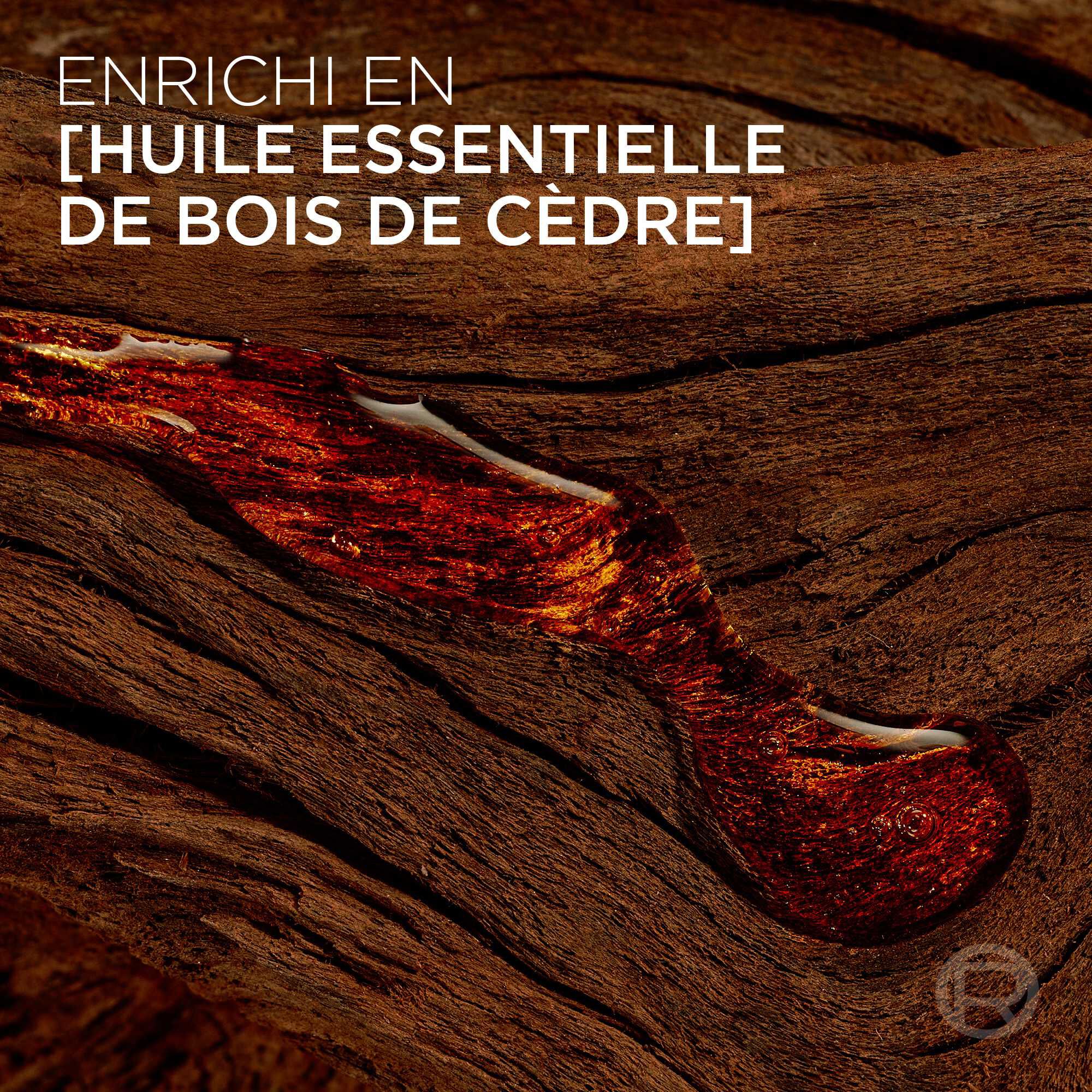  Gros plan sur un morceau de bois de cedre brut soulignant la composition enrichie en huile essentielle de bois de cedre, signature de la gamme Barber Club.​