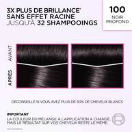 Casting Creme Gloss  Coloration Gloss