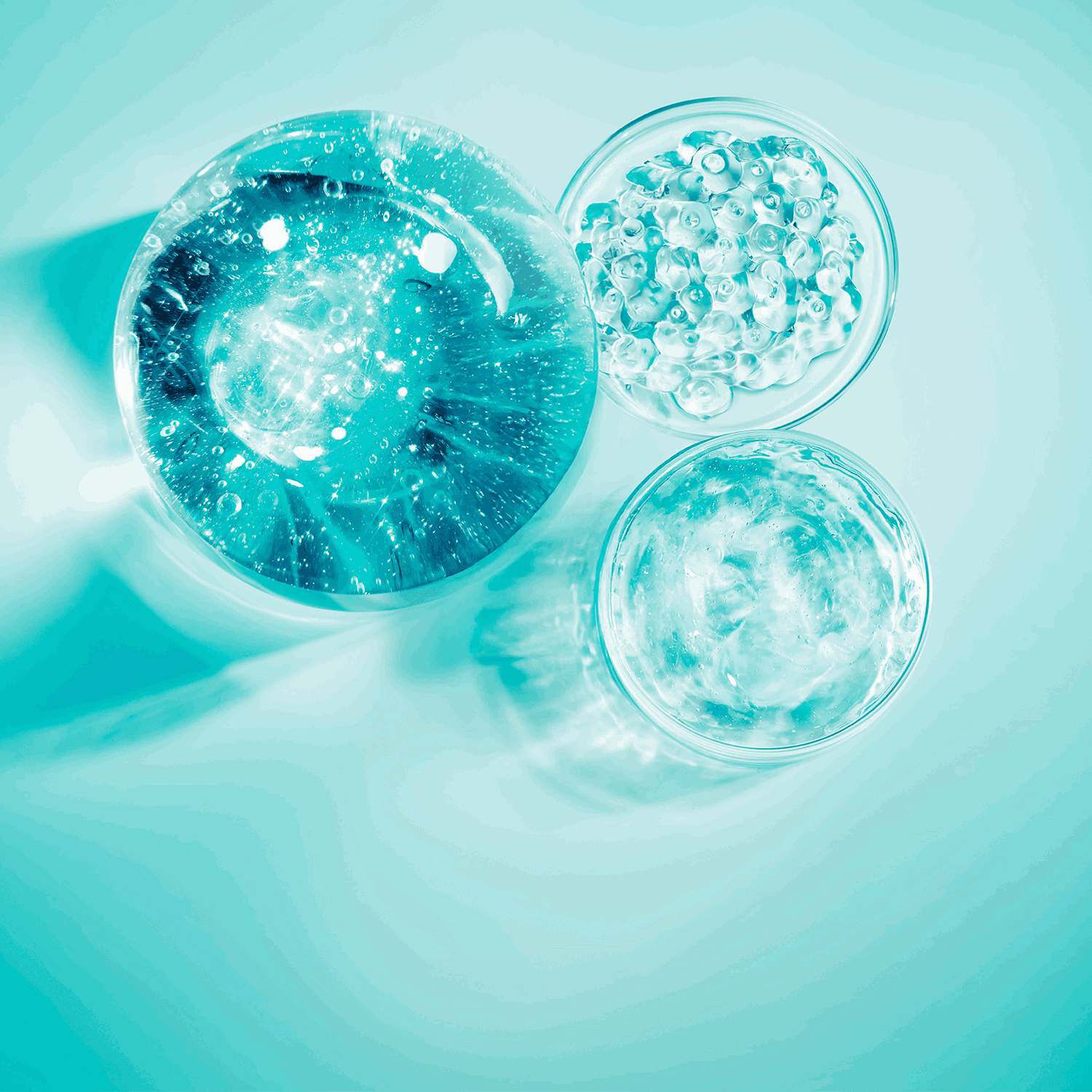 Plaques de Petri remplies de substances gelatineuses bleues, certaines avec des perles transparentes et des bulles, sur un fond bleu-vert.​